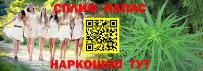 гашик Гай