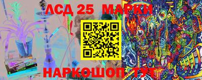 индика Гагарин