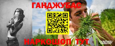 индика Гагарин