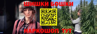 гашик Гай