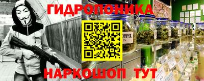 гашик Гай