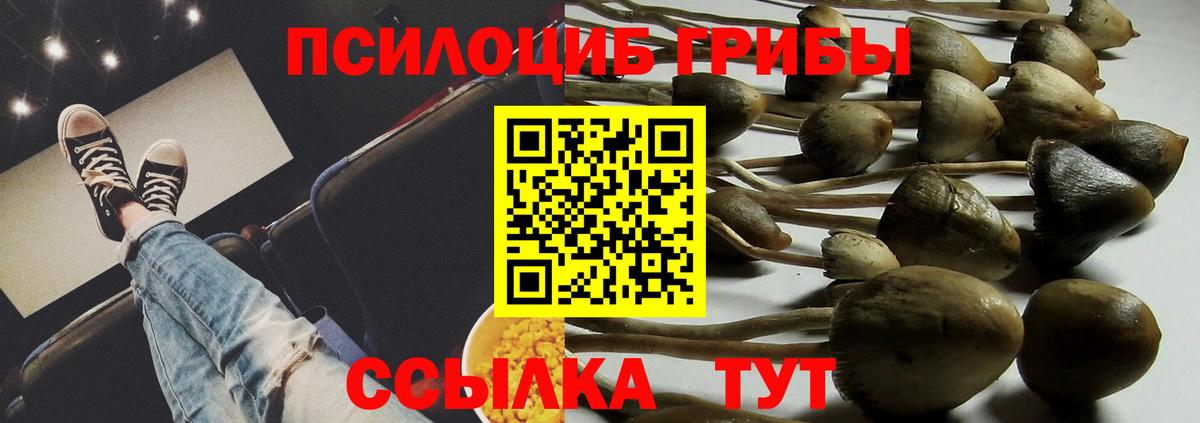 Сафоново  Галлюциногенные грибы прущие грибы  Вход с VPN 